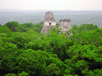 Guatemala: Mayan Temple in the Forest