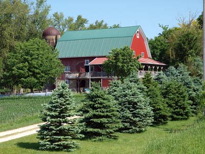 Iowa: Red Barn House and Silo in Pine Trees